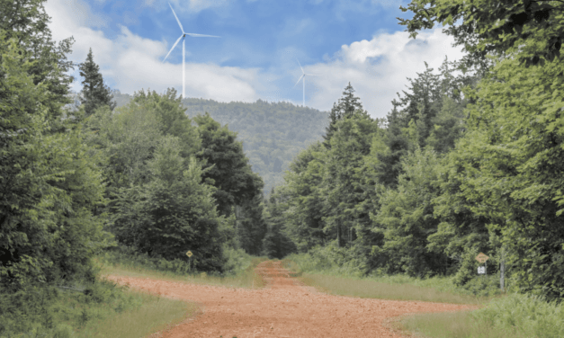 Province approves large Irving wind farm project in northern Carleton County